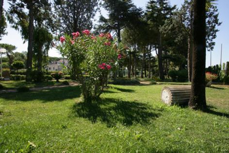 Grand Hotel Fagiano Palace Formia Kültér fotó